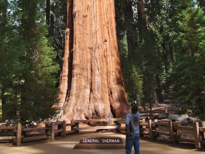 General Sherman